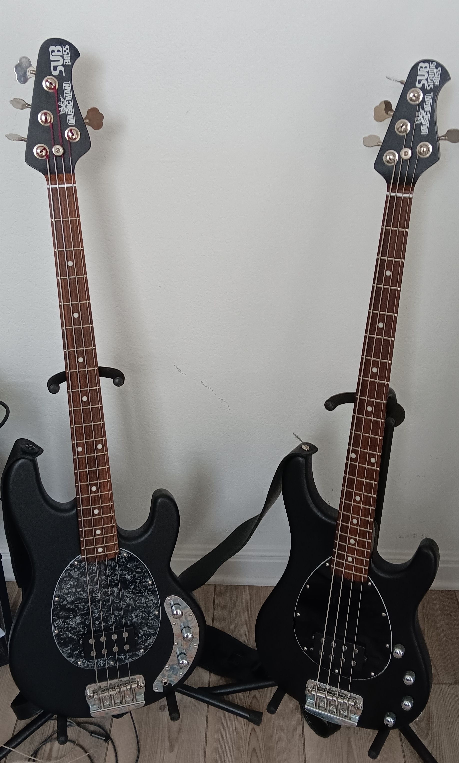 Twins.jpg
