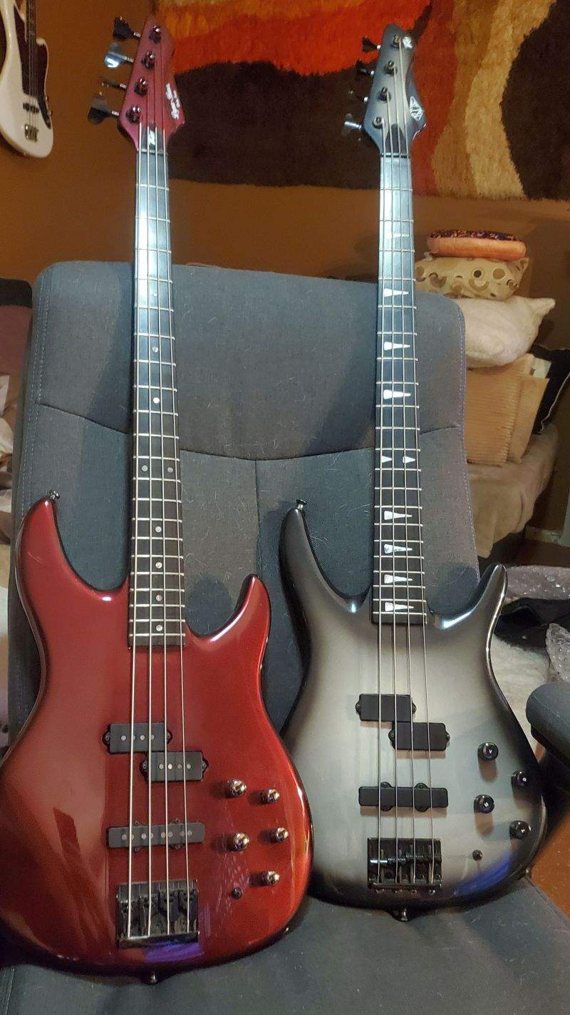 Twins2.jpg