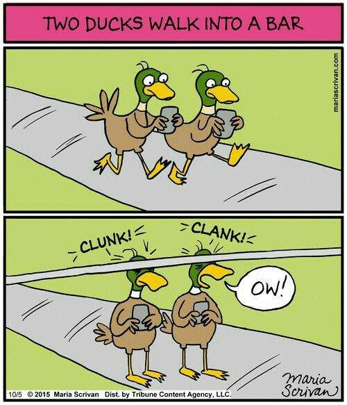 Two Ducks Walk Into A Bar.jpg