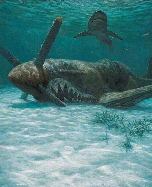 Two sharks.jpg