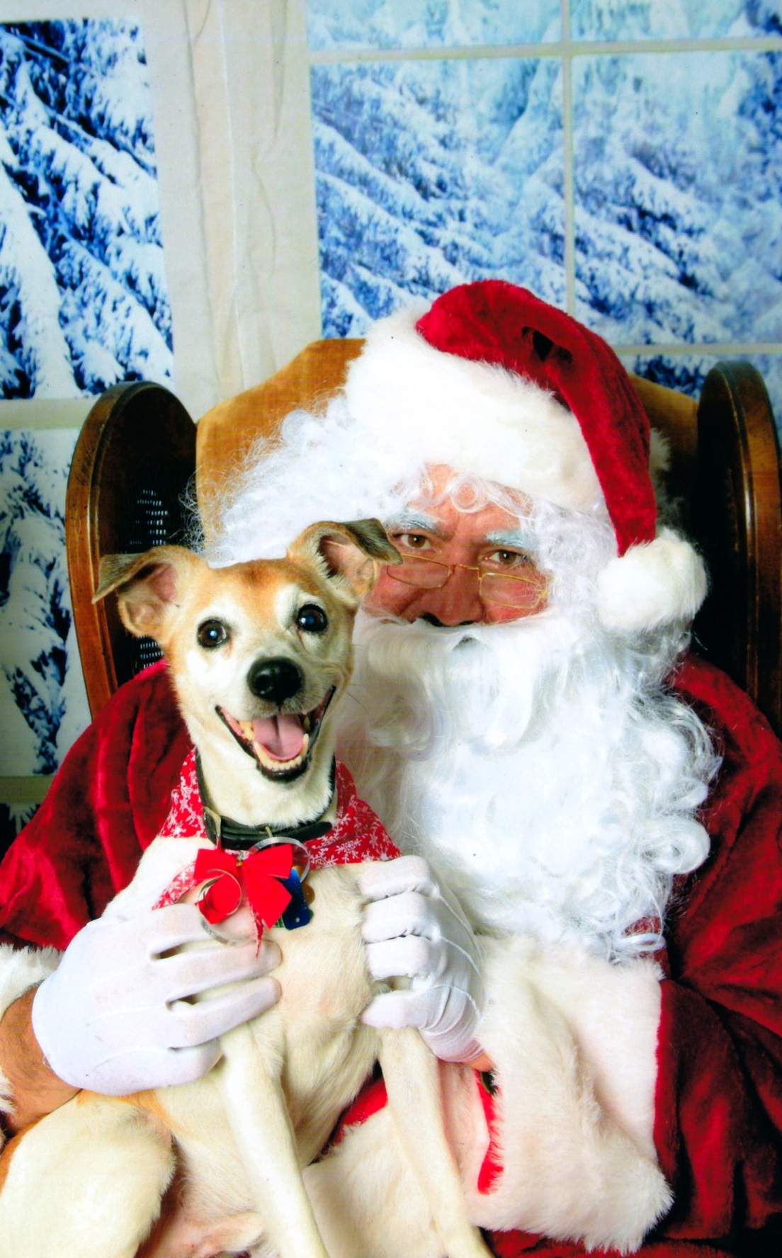 Tyson Xmas 20170001red25.jpg