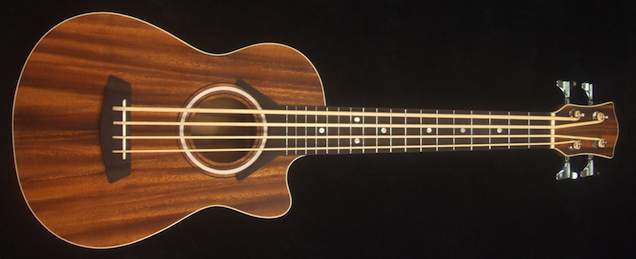 U-Bass front.jpg