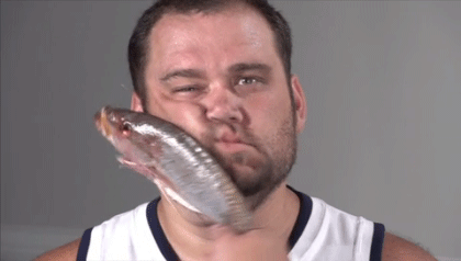 ?u=https%3A%2F%2Fcareerbio.com%2FFishSlapVidPreview.png