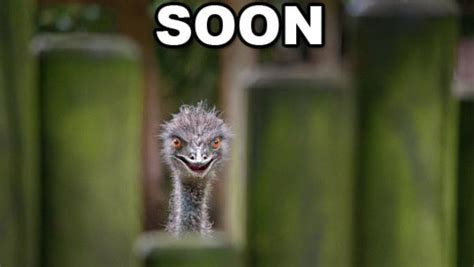 ?u=https%3A%2F%2Ftse1.mm.bing.net%2Fth%3Fid%3DOIP.jpg