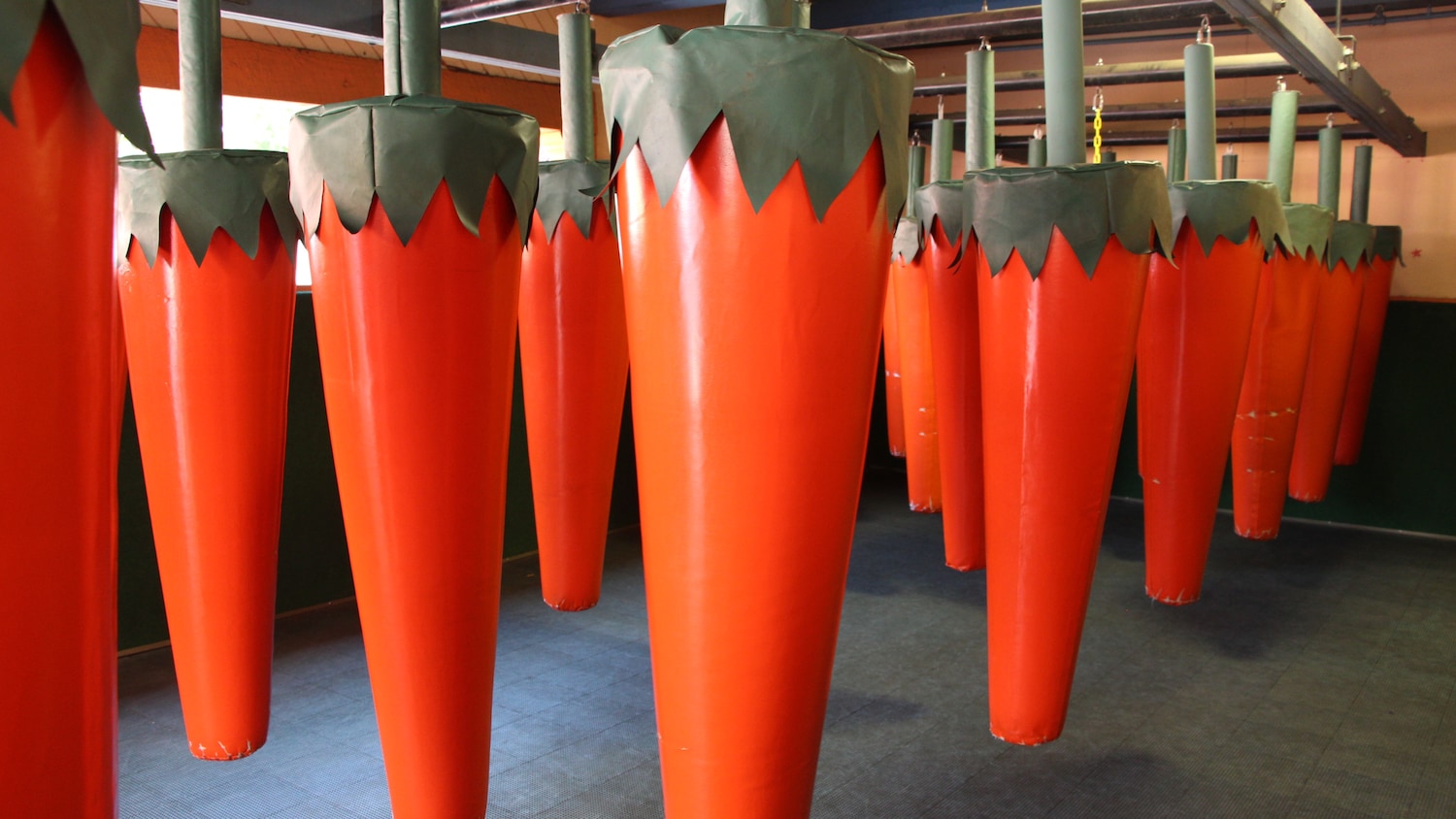 ?u=https%3A%2F%2Fwww.sixflags.com%2Fsites%2Fdefault%2Ffiles%2Fcarrot_patch_5.jpg