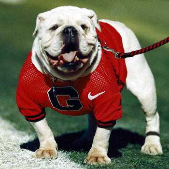 Uga-V.jpg