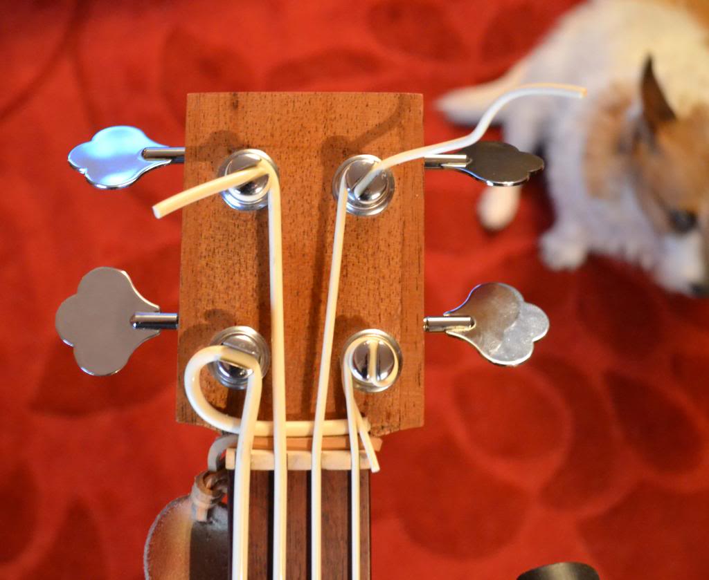 ukebass2.jpg