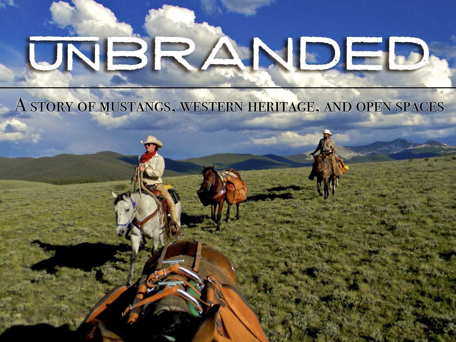 unbranded.jpg