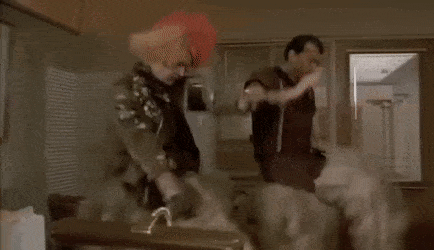 UncomfortableTastyBlackfish-max-1mb.gif