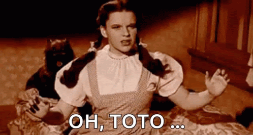 unnamed (3).gif