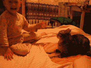 unnamed.gif