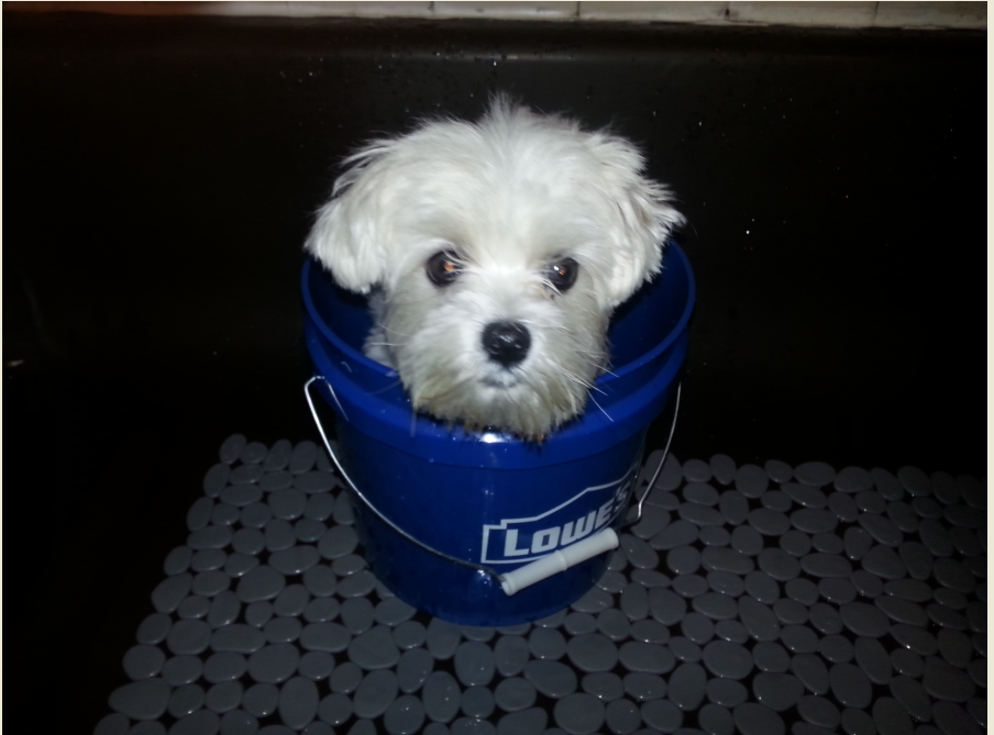upload_2014-7-14_14-4-28.png