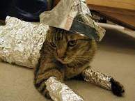 upload_2015-11-10_16-42-21.jpeg
