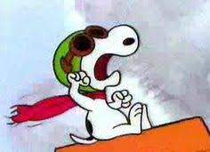 upload_2018-2-8_23-8-38.jpeg