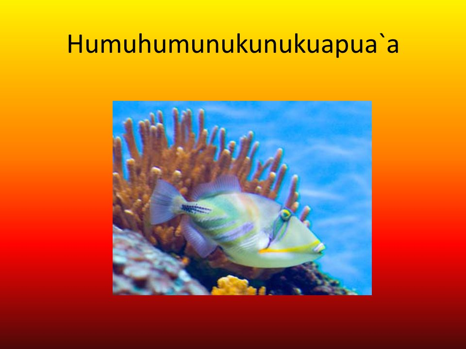 upload_2018-3-17_7-39-29.png