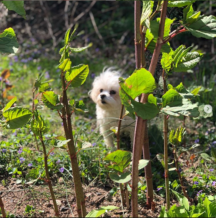 upload_2019-1-24_13-18-56.png