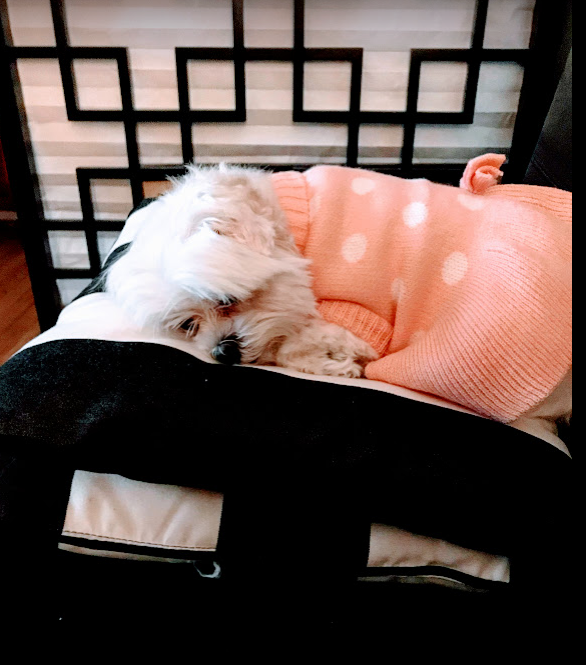 upload_2019-12-27_9-38-8.png