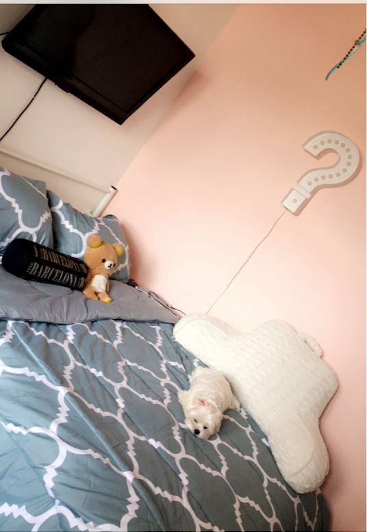 upload_2019-2-6_16-24-41.png