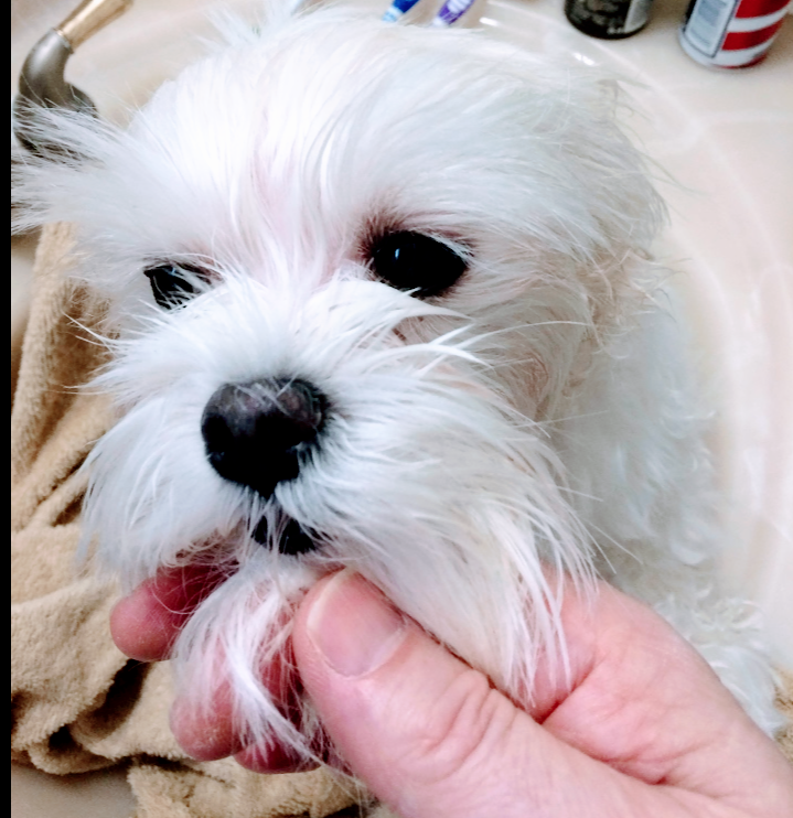 upload_2019-3-25_12-20-15.png