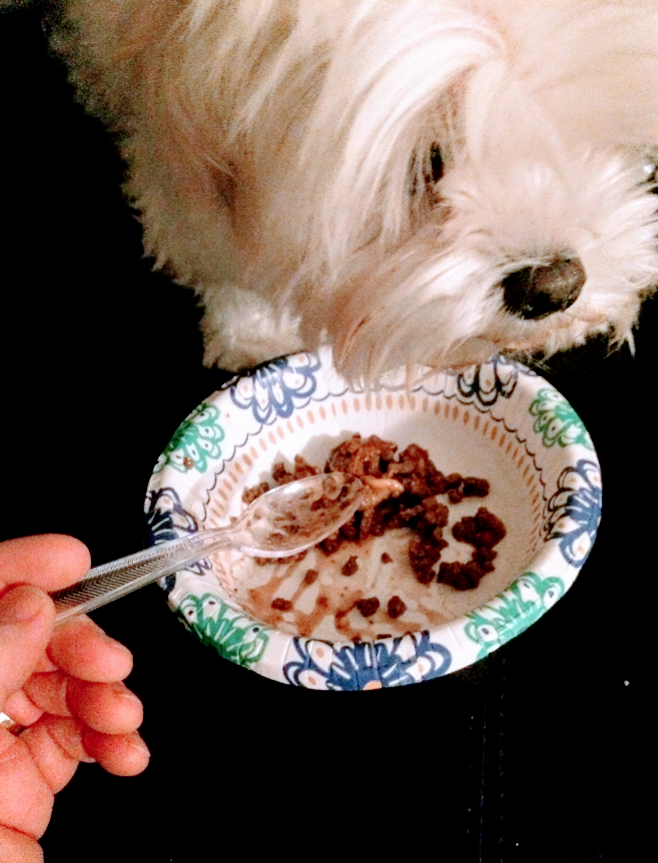 upload_2019-3-28_15-21-25.png