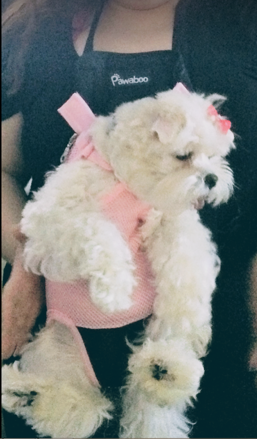 upload_2019-4-18_15-4-33.png
