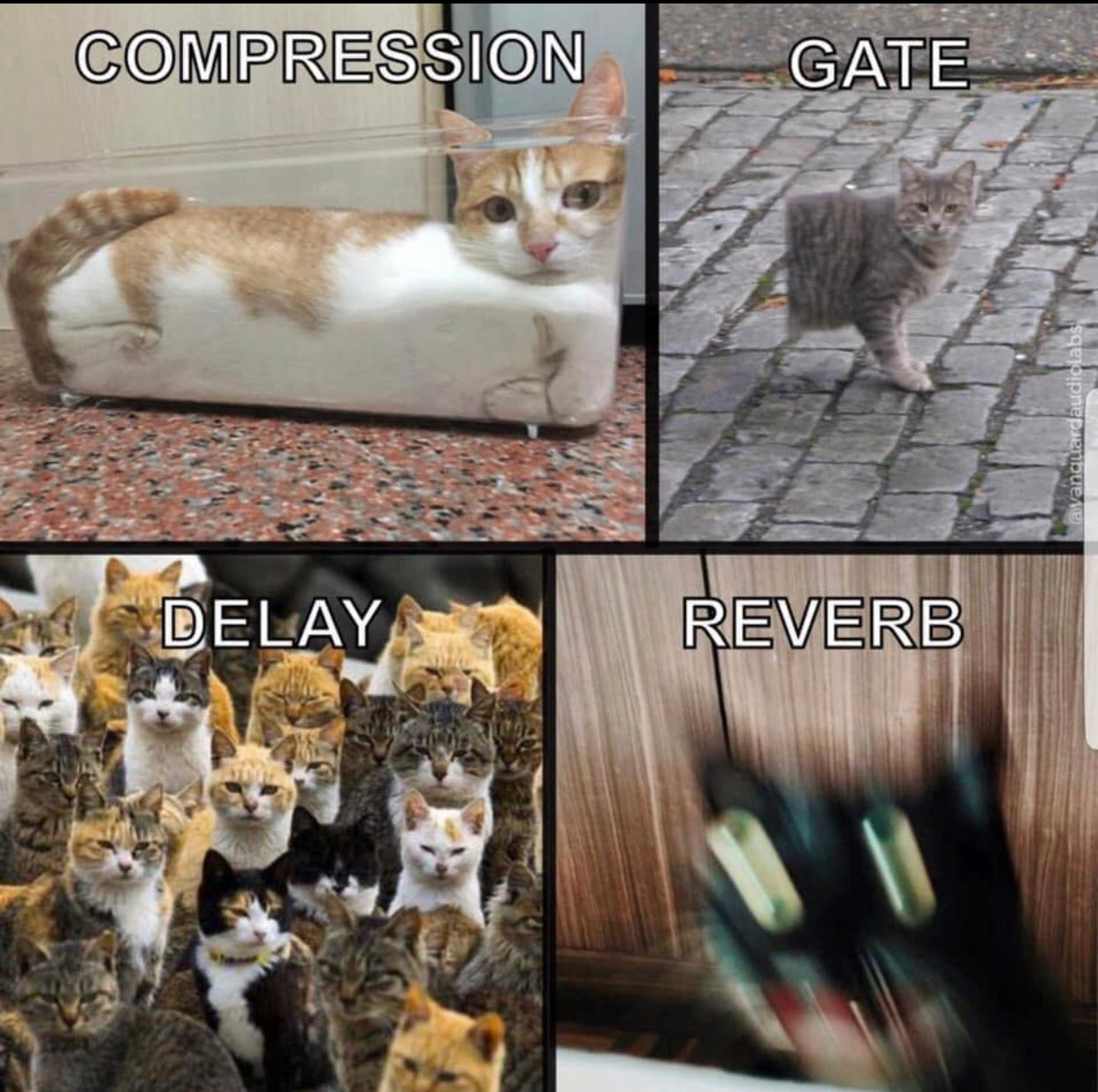 upload_2019-8-24_20-15-55.png