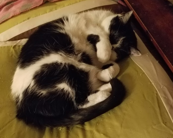 upload_2019-9-13_10-21-40.png