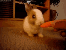 upload_2021-1-7_23-13-30.gif