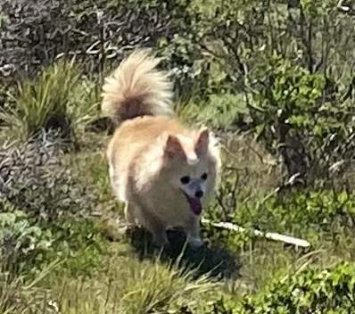 upload_2022-1-25_10-4-56.jpeg