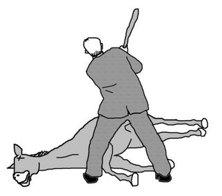 upload_2022-4-27_13-53-29.png