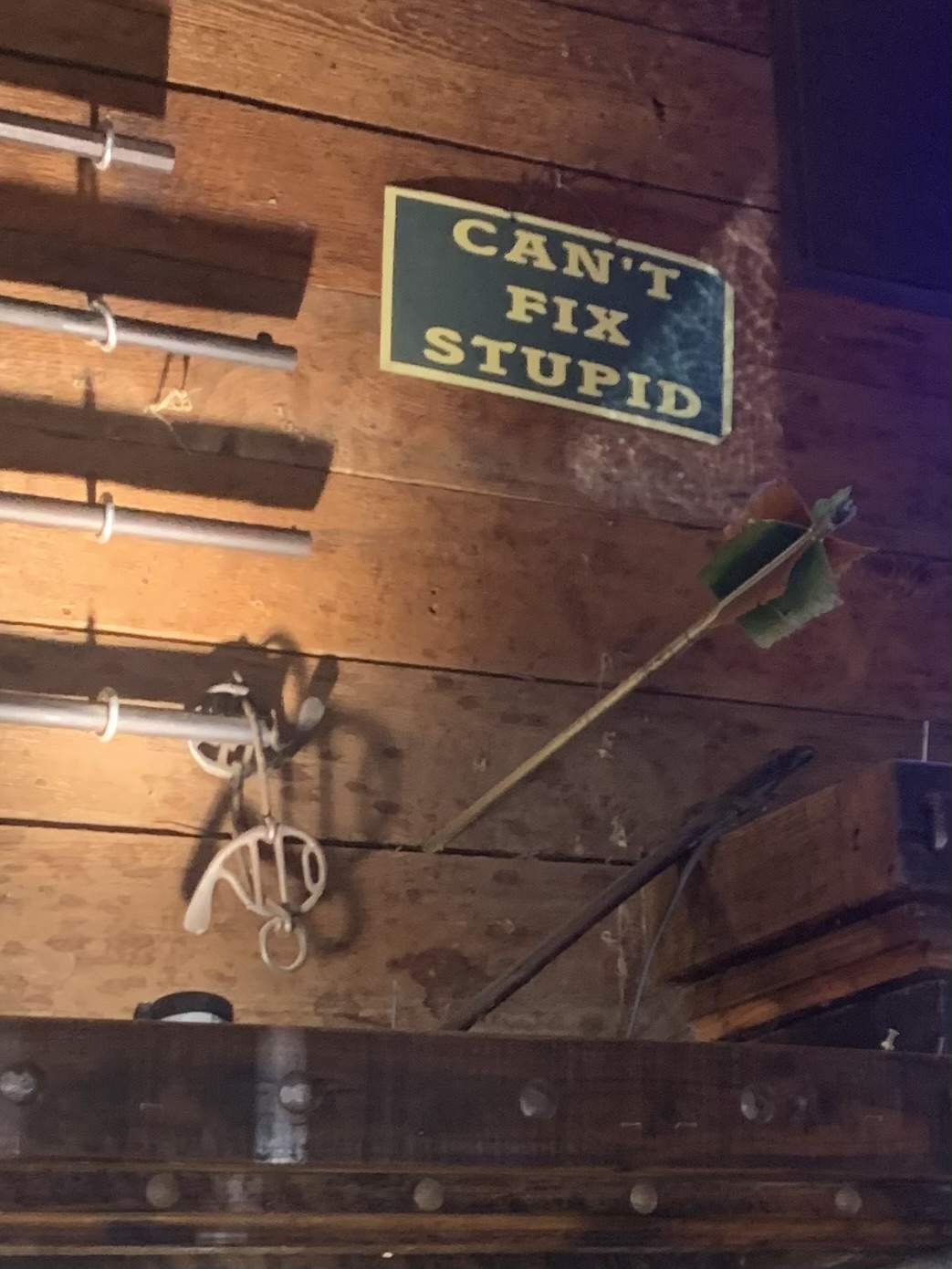 upload_2022-8-11_16-44-26.jpeg