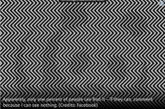 upload_2022-8-2_13-25-58.png
