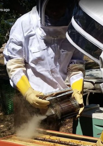 upload_2023-1-8_17-30-9.png