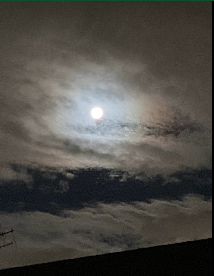 upload_2023-1-9_13-48-11.png