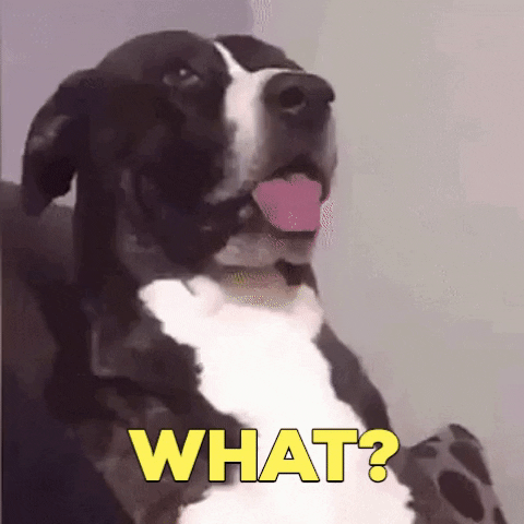 upload_2024-5-28_15-5-53.gif
