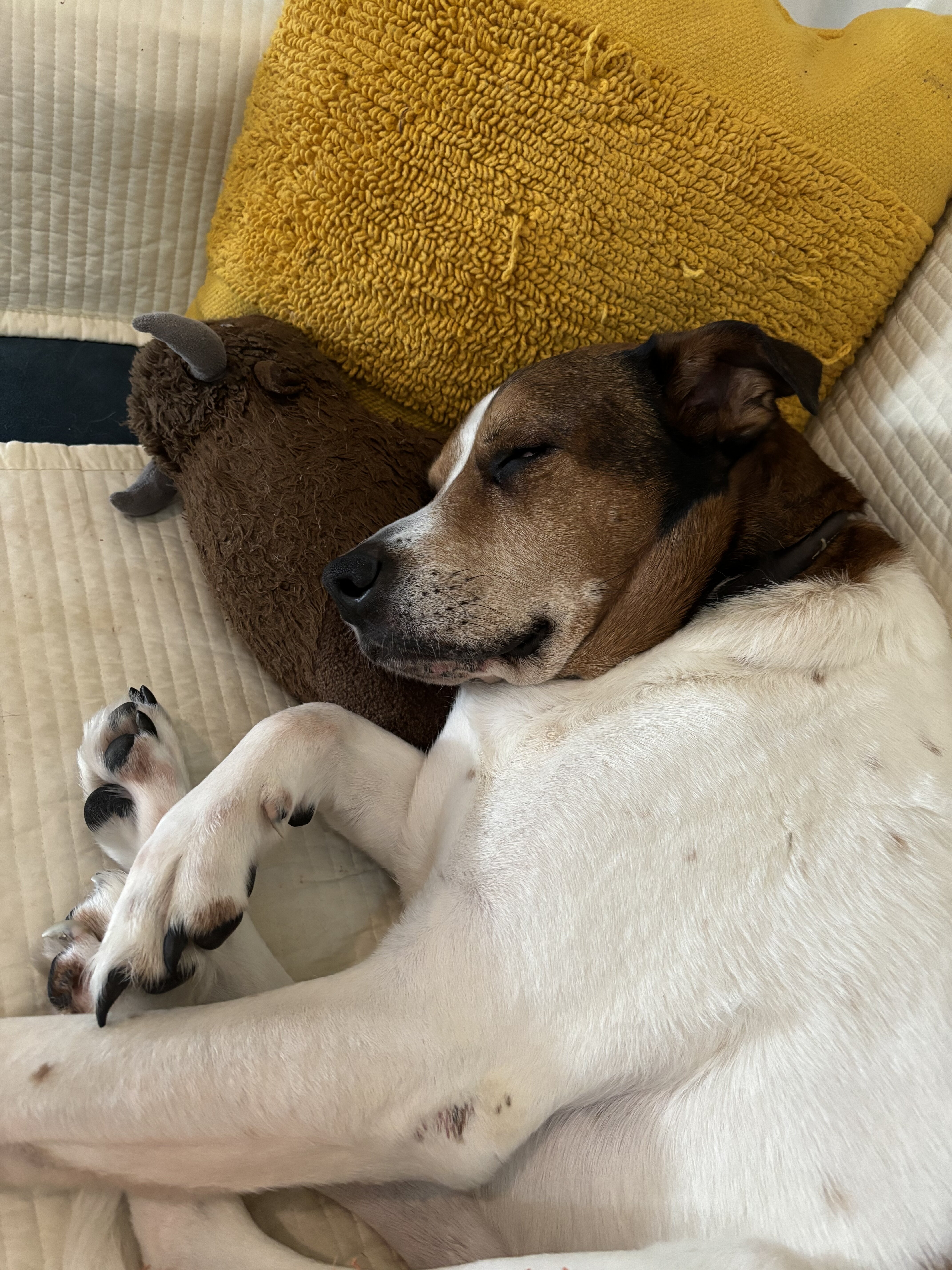 upload_2024-5-28_23-10-35.jpeg