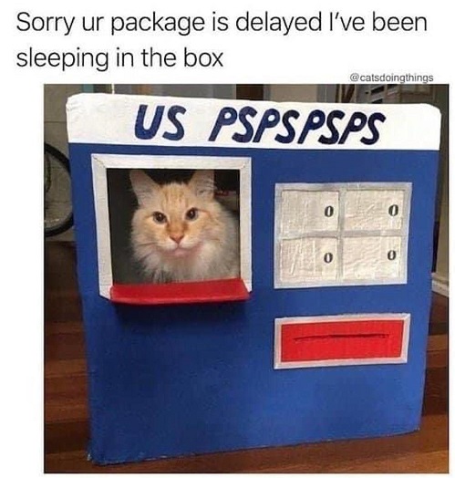 uspsps.jpg