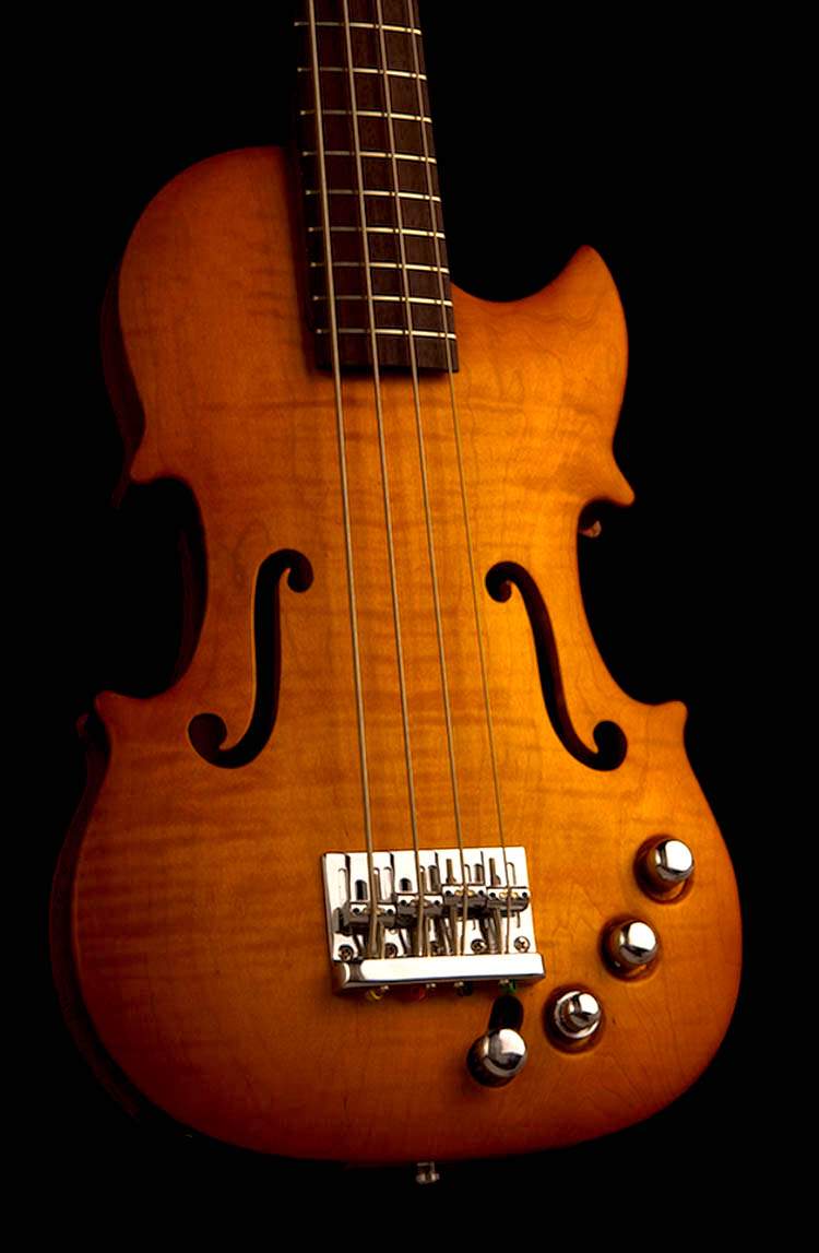V-Bass-2.jpg