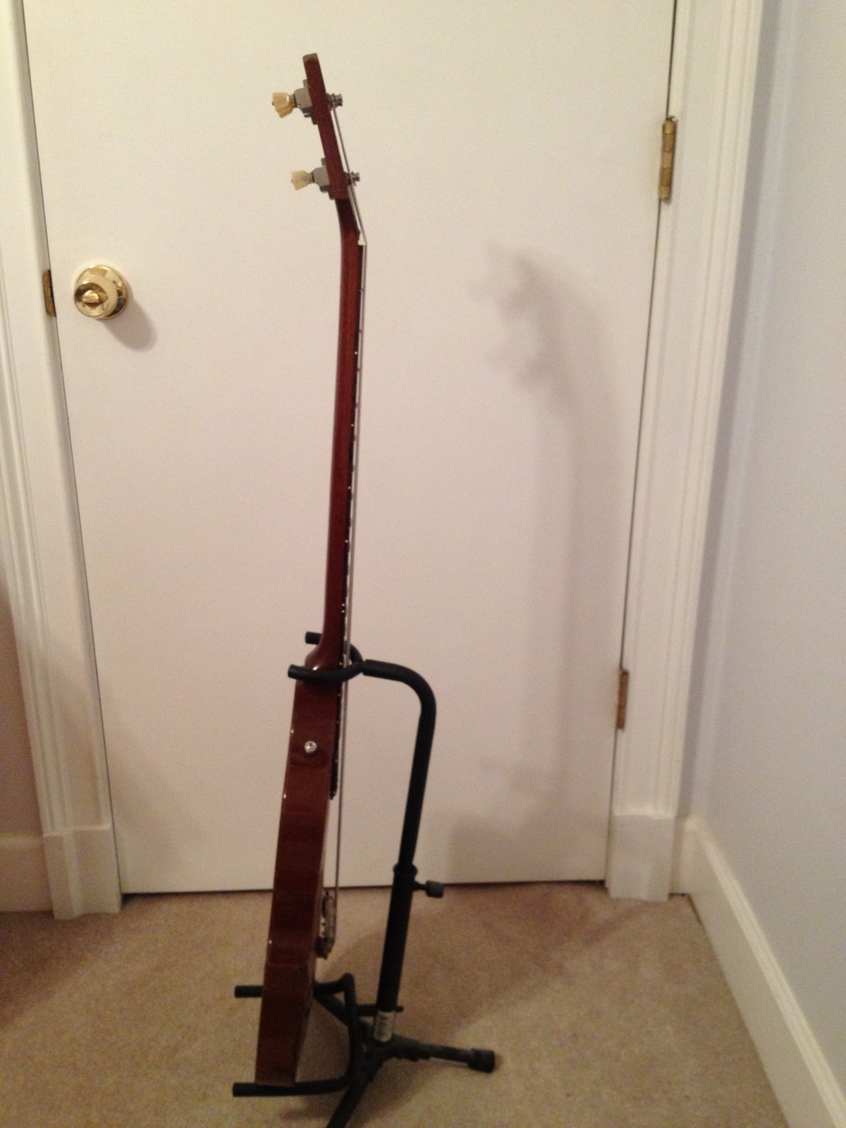 v49hep.jpg