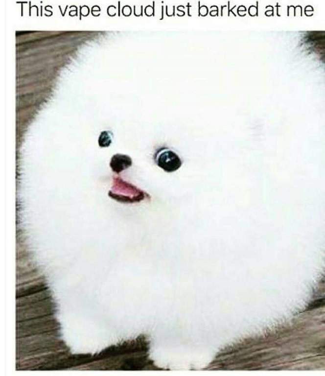 vape cloud dog.jpeg