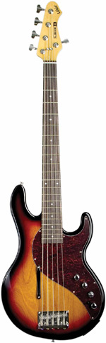 variax_705.jpg