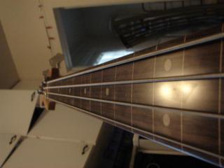 vdbass002largehf4.jpg