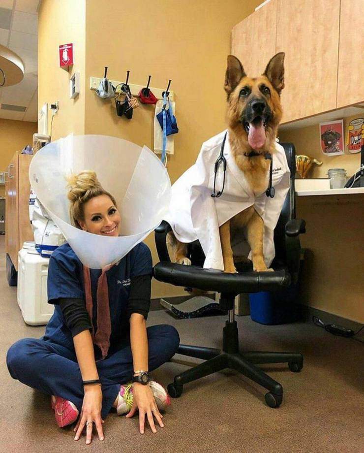vet in cone.jpg