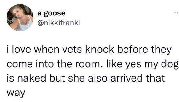 vet knock.jpg