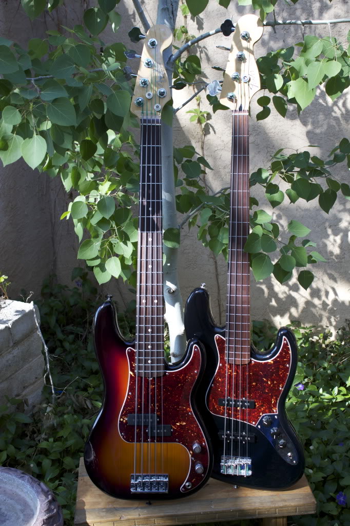 VFretless.jpg
