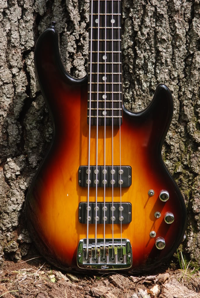 VGOODFOCUSL2500050909.jpg