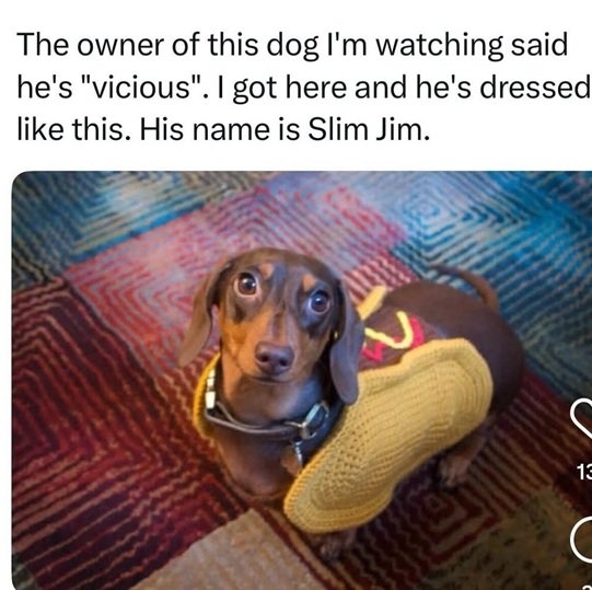 vicious dog.jpg
