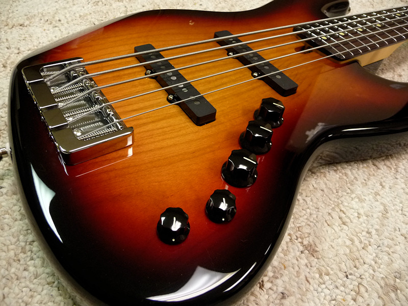 vics_lg5_01.jpg