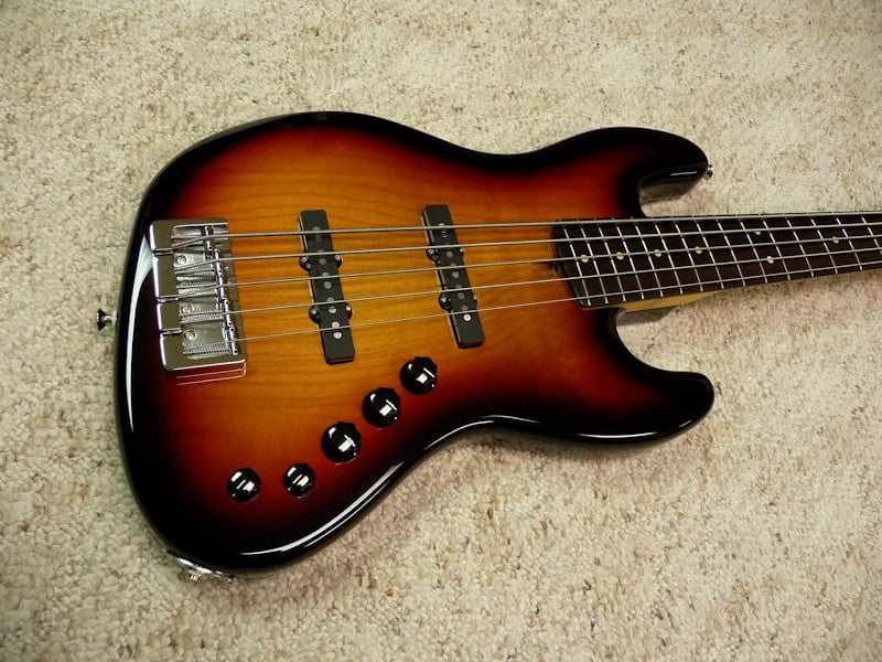vics_lg5_01.jpg