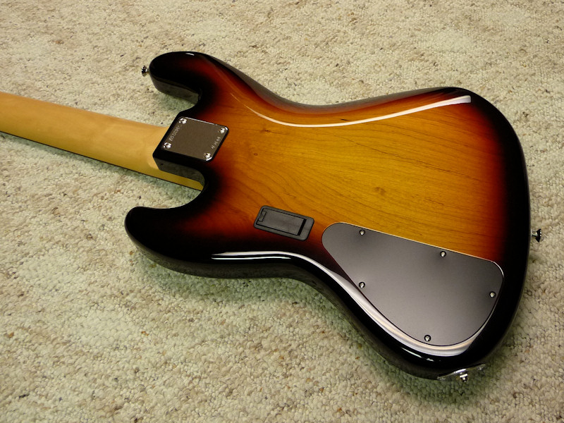 vics_lg5_09.jpg